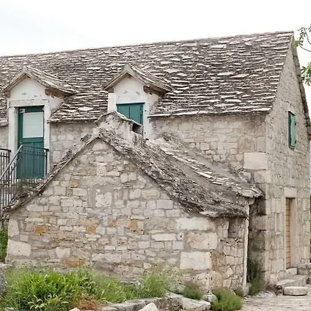 Brane * Salona