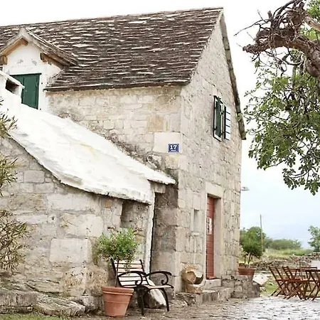 Brane * Salona