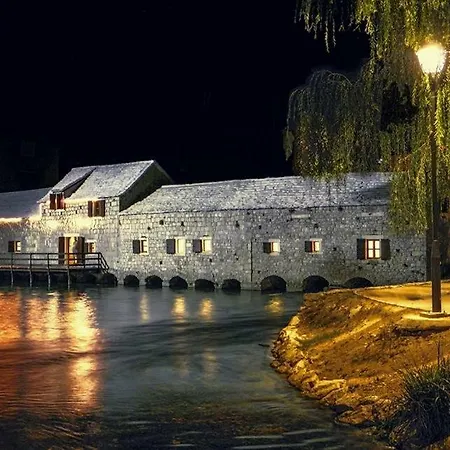 Brane Salona