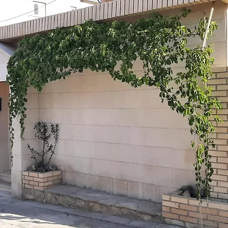 Apartment Brane Solin