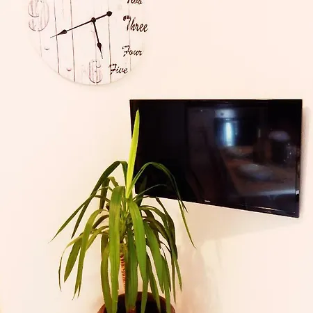 Brane Apartment *